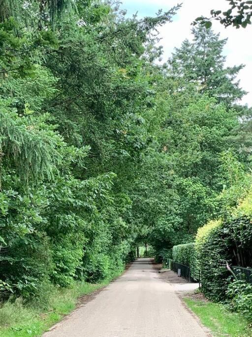 Op Boszicht Genieten Van De Rust & Natuur Putten Dış mekan fotoğraf