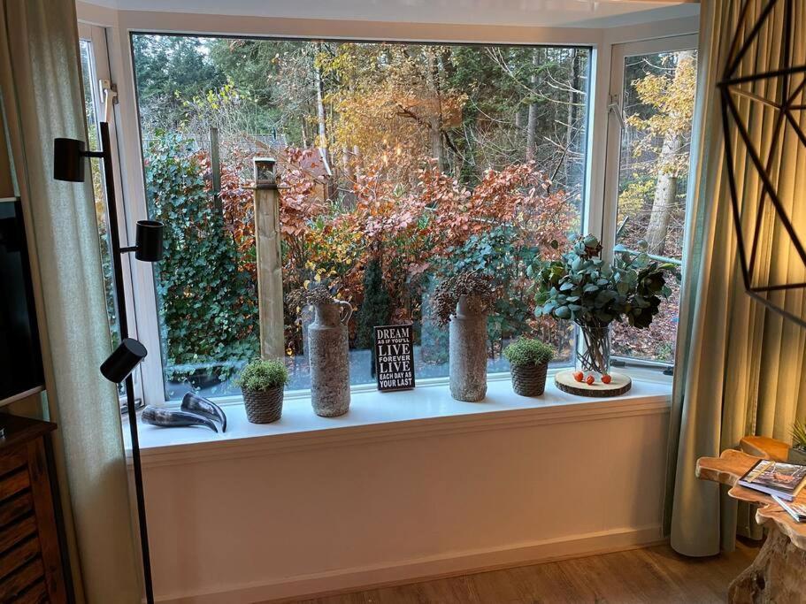 Op Boszicht Genieten Van De Rust & Natuur Putten Dış mekan fotoğraf